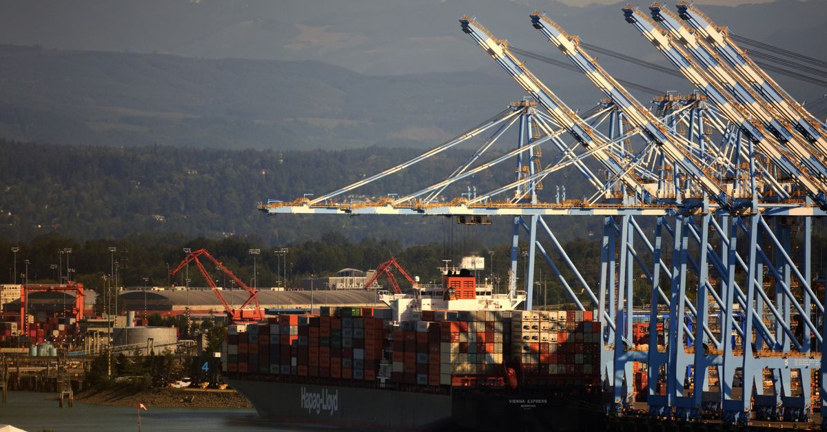 Container ships and cranes at Port of Tacoma with mountain backdrop, showcasing industrial shipping.